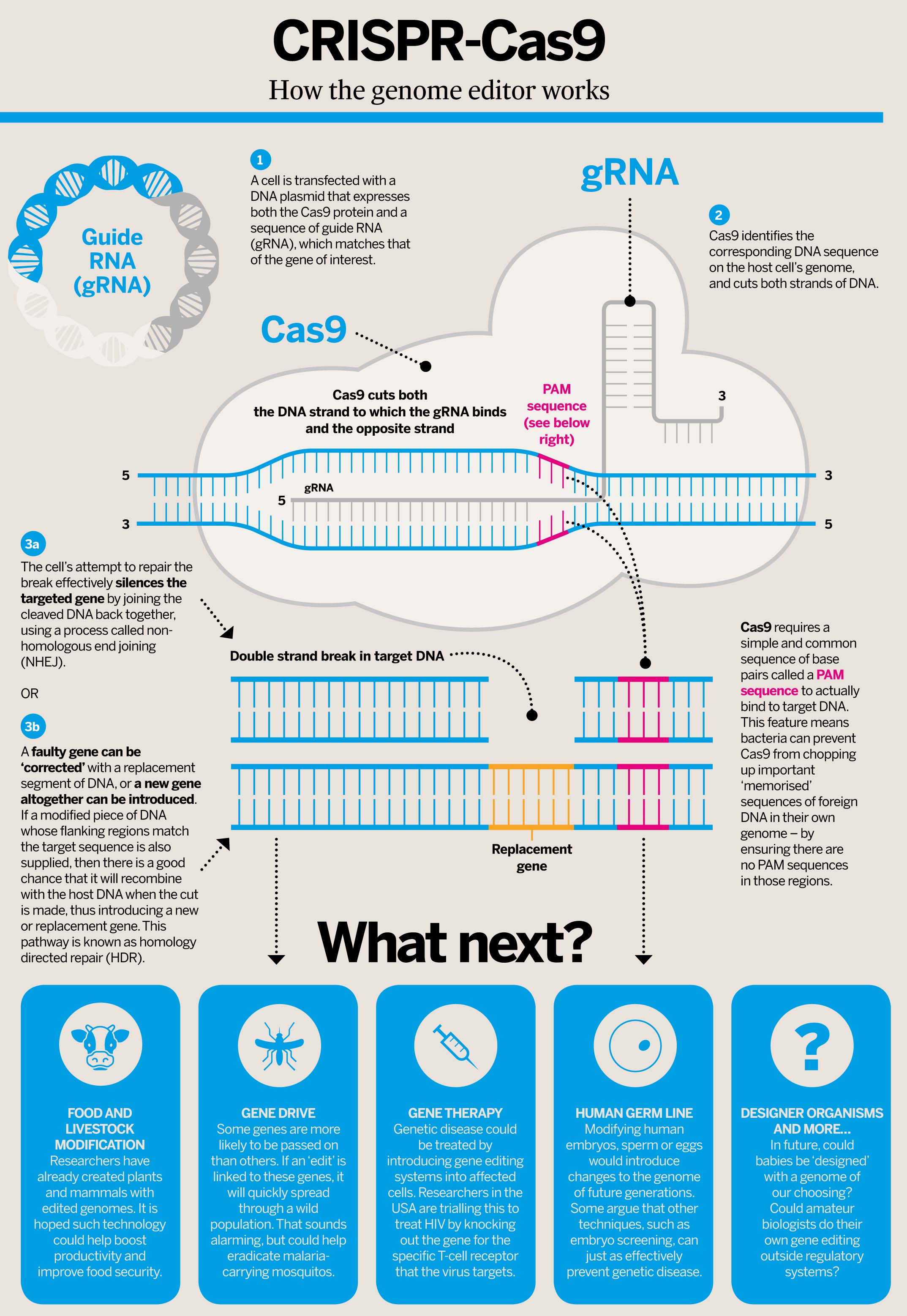 Focus On Gene Editing