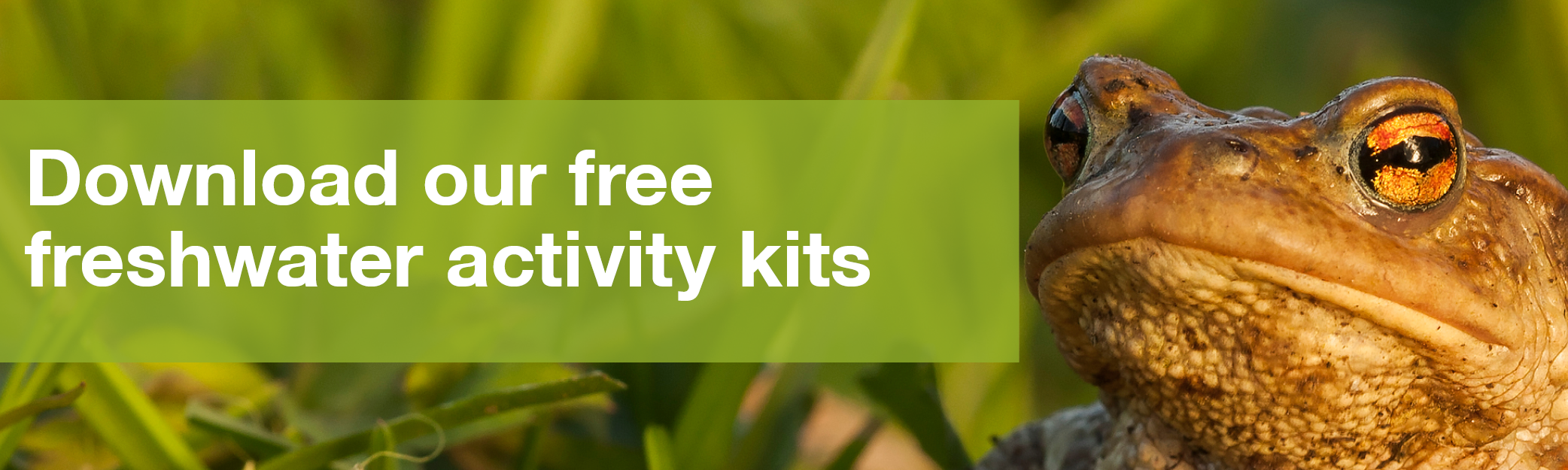 Download activity kits