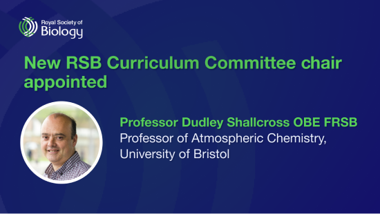 Image card of Professor Shallcross Curriculum Committee Chair