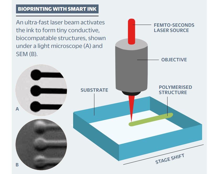 BioPrinting clearer