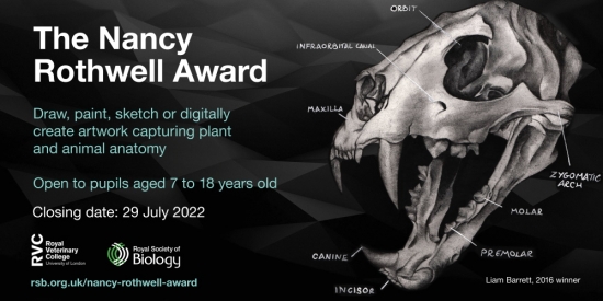 RSB Nancy Rothwell Award 2022 social media card SMALL