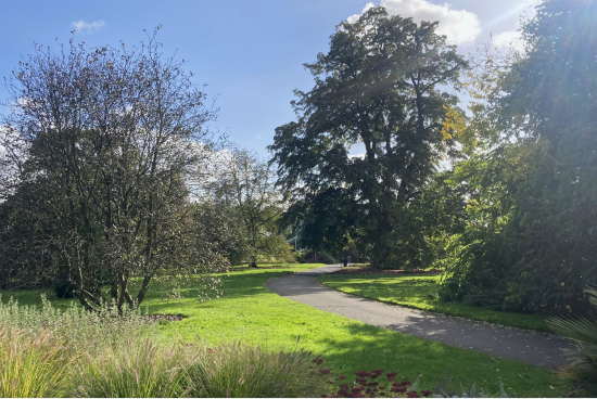 Kew gardens on a sunny, autumnal day