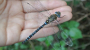 Dragonfly 90