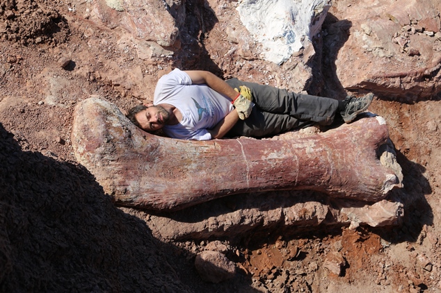 A Big Deal - giant dinosaur discovered