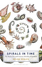 Spirals in Time - The Secret Life and Curious Afterlife of Seashells