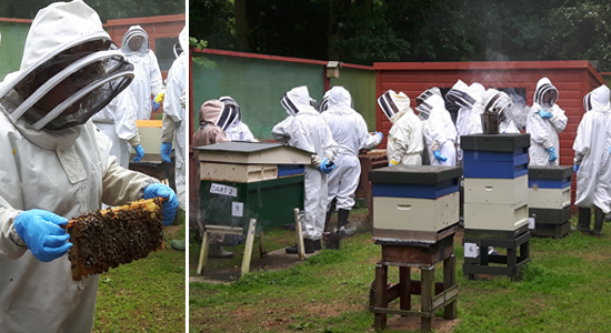 EA apiary visit