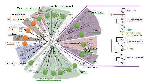 LoxDiagram