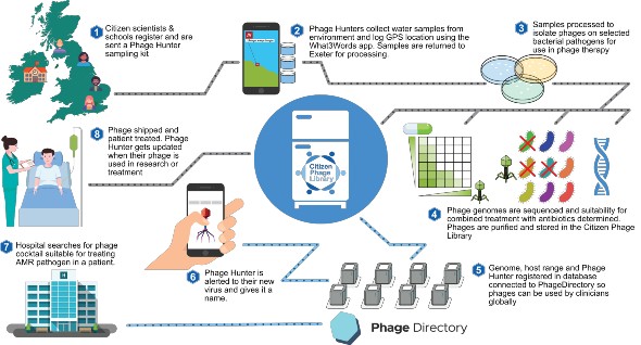 Citizen Phage diagram thumb