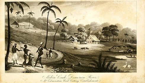 BHM John Edmonstone plantation 1