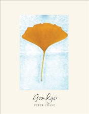 Ginkgo