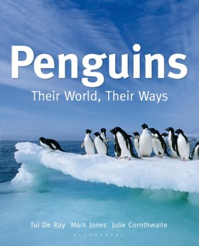 Pengiuns thier world their way 