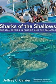 the shallows book review