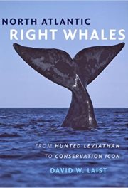 northatlanticrightwhales2