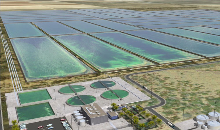 algae carbon capture companies