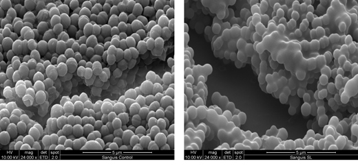 Biosurfactants figures