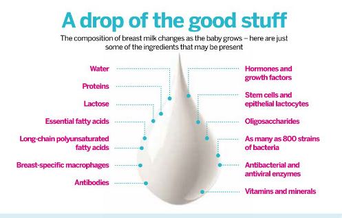 lactose in breast milk