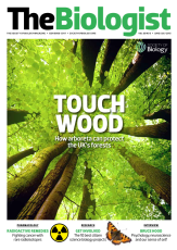 Magazine /images/biologist/archive/2013_06_01_Vol60_No3_Touch_Wood