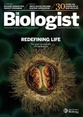 Magazine /images/biologist/archive/2016_04_01_Vol63_No2_Redefining_Life