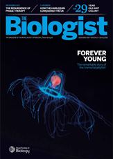 Magazine /images/biologist/archive/2016_06_01_Vol63_No3_Forever_Young