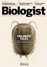 Magazine /images/biologist/archive/2017_06_08_Vol64_No3_TrilobiteTales