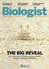 Magazine /images/biologist/archive/2017_12_12_Vol64_No6_TheBigReveal