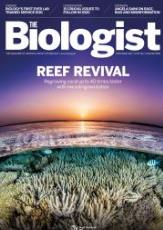 Magazine /images/biologist/archive/2020_02_02_Vol67_No1_Reef_Revival