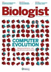 Magazine /images/biologist/archive/2020_04_04_Vol67_No2_Computer_Evolution