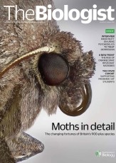 Magazine /images/biologist/archive/2021_09_09_Vol68_No3__MothsinDetail