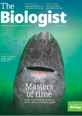 Magazine /images/biologist/archive/2025_22_12_Vol72_No4_sharks