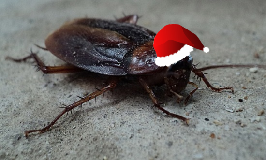 christmas cockroach