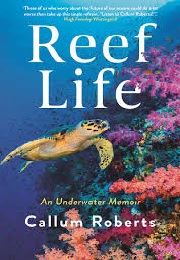 reef life