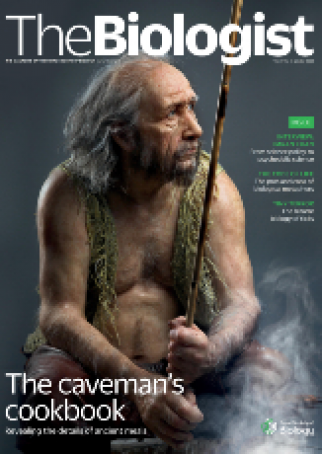 Magazine 2022_12_12_Vol69_No4__Cavemans_Cookbook