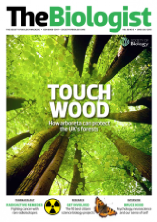 Magazine 2013_06_01_Vol60_No3_Touch_Wood