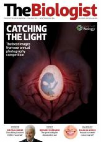 Magazine 2014_12_01_Vol61_No6_Catching_the_Light