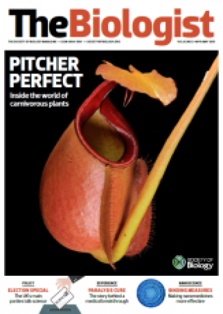Magazine 2015_04_01_Vol62_No2_Pitcher_Perfect