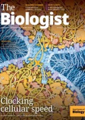 Magazine 2025_18_02_Vol72_No1_Clocking_cellular_speed