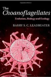 The Choanoflagellates