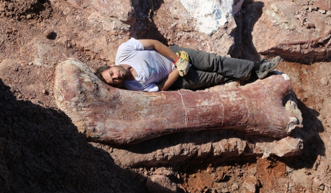 A Big Deal - giant dinosaur discovered 